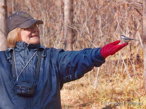 Sandra With Chickadee Landed_10091.jpg - Photographed at Ottawa, Ontario - the capital of Canada.